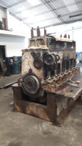 whatsapp image 2025 07 05 at 19.52.04