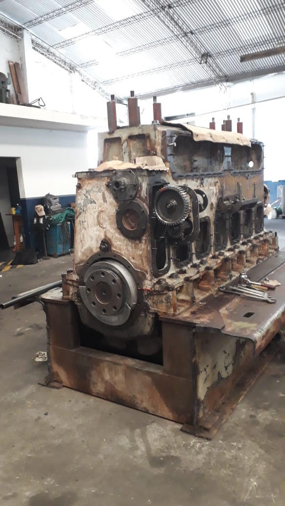 whatsapp image 2025 07 05 at 19.52.04